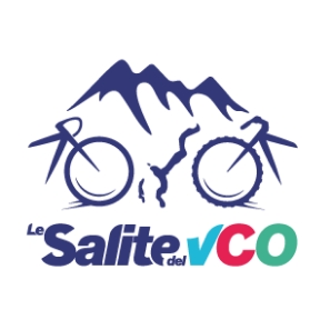 Salite Editmedia