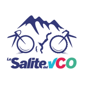 Logo Salite